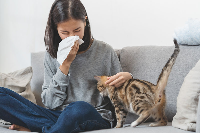 Ympärivuotisen allergisen nuhan oireista kärsivä nainen kotonaan
